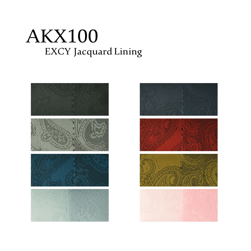 AKX100 イメージ2